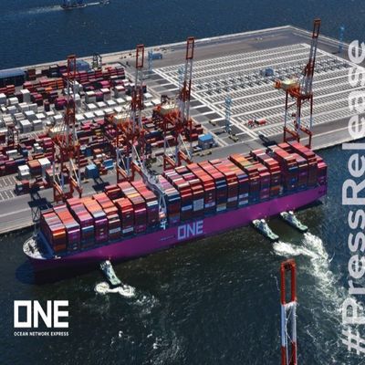 comprare Trasporto marittimo dalla Cina al porto di Ashdod Israele Trasporto di prima classe veloce e affidabile online manufacture