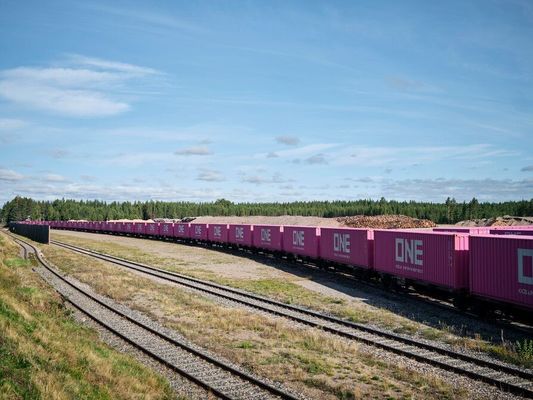 Buy International DDP Train Freight Shipping In 35 - 45 Days Transit Time online manufacture