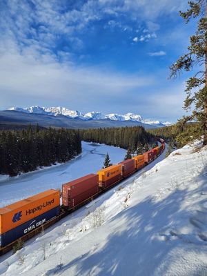 Buy Local Storage Economic Railway Goods Transport Service Shipping Cargo By Train online manufacture