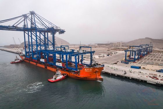 Buy Full Container Load A Class Service Sea Cargo Services Sea Freight Forwarders online manufacture