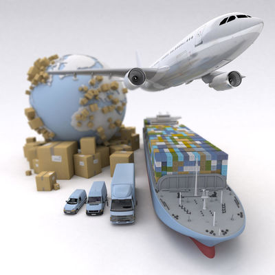 All  Lines Logistics DDP Sea Shipping With Professional Tracking Service
