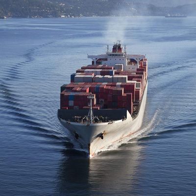 MSC Carrier 40HQ Sea Freight Shipping To Greece Professional Tracking
