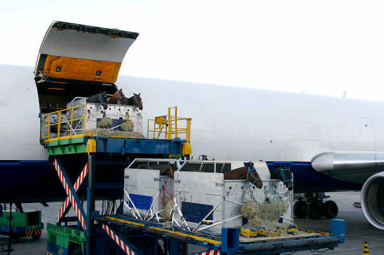 Reliable Global Air Freight Shipping With Destination Storage