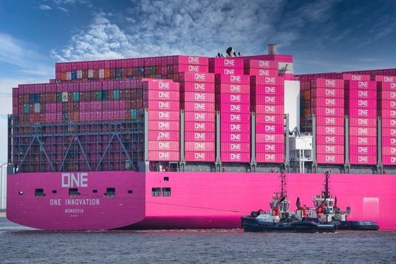 YML/HMM Carrier Sea Freight Shipping With General Goods Origin Storage
