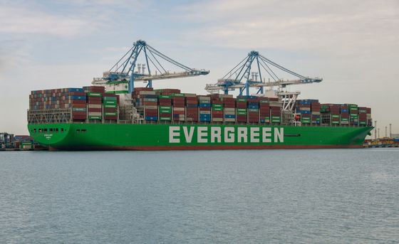 Global International Sea Freight Shipping To Ireland In 45 - 55 Days Transit Time