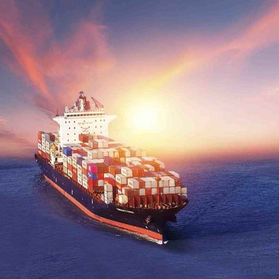 Affordable Shipping Agent From To Canada Sea Freight Service For FCL And LCL Shipments