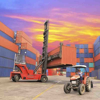 FCL 20FT 40HC Full Container Freight Forwarder Logistics Services from to Damietta Port Egypt with Local Storage Ability