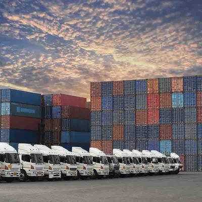 ONE MSC Carrier Shipping Service From China With FCL LCL Container Shipping Service
