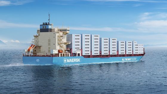 Professional Full Sea Container Shipping Agent From to Paraguay Guyana French Guiana Logistics Service Freight Forwarder